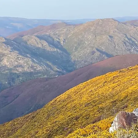 Casinha Do Sol - Natureza & Lazer - Serra Da Freita アパート アロウカ