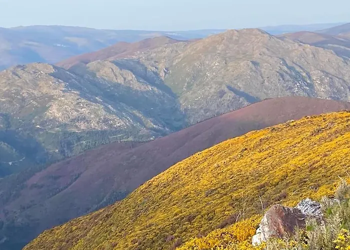 Casinha Do Sol - Natureza & Lazer - Serra Da Freita Apartamento Arouca