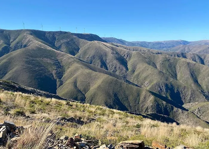 Apartman Casinha Do Sol - Natureza & Lazer - Serra Da Freita *