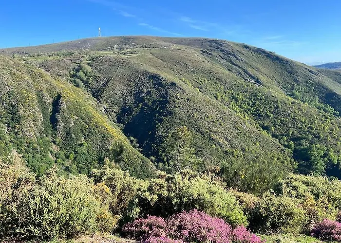 Casinha Do Sol - Natureza & Lazer - Serra Da Freita * Arouca